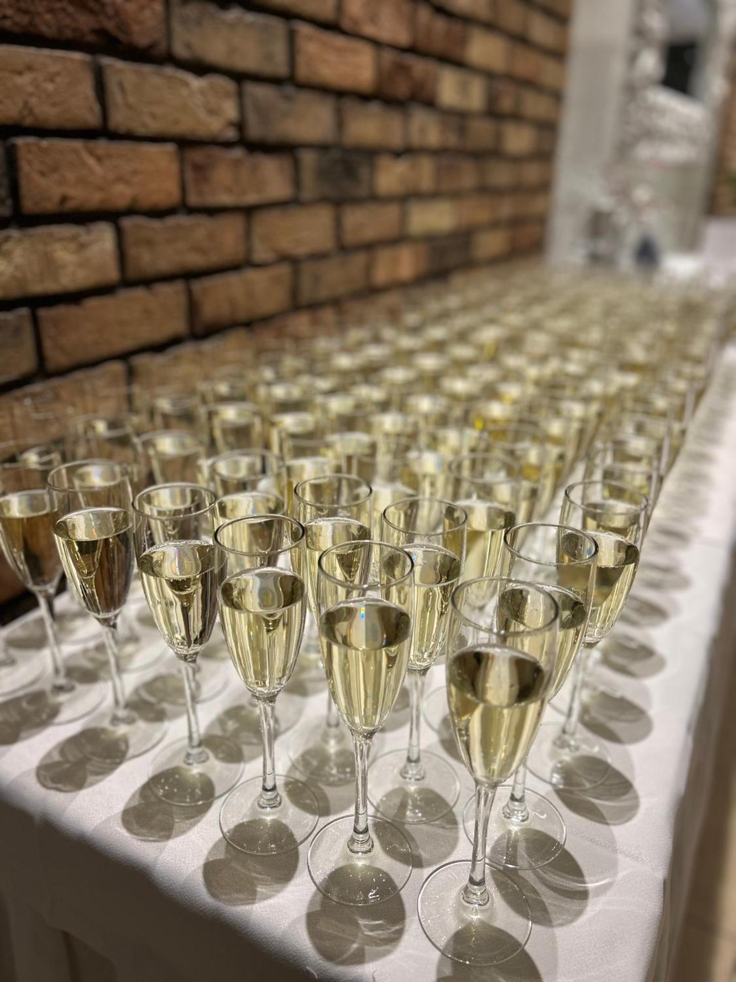 酒店 海豚酒店 塞内奇