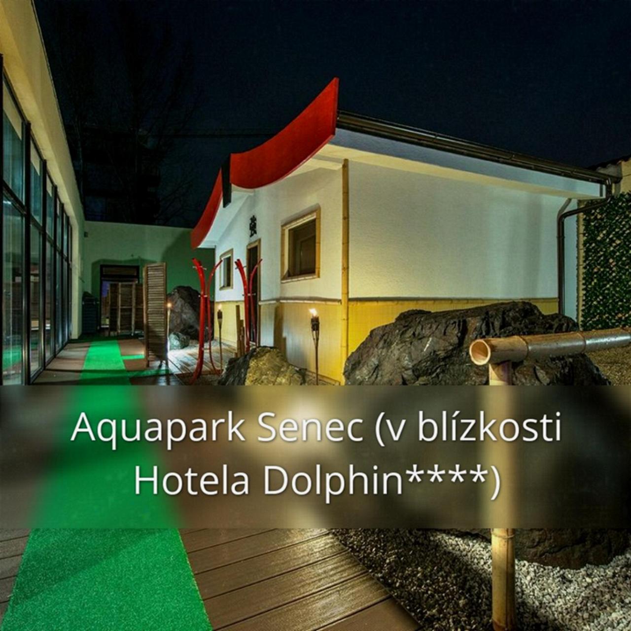 海豚酒店 酒店
